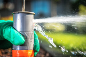 Read more about the article Evergreen Sprinkler and Landscaping Services